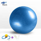 Oem de Gymnastiekoefening 55cm van het Kleurenhuis 22inch-de bal van de de Balgymnastiek van het Yogasaldo voor oefening