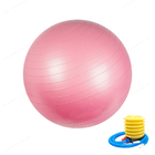 Oefeningsbal (45cm75cm), de Stoel van de Yogabal met Snelle Pomp, de Bal van de Stabiliteitsgeschiktheid voor &amp; Fysieke Kernsterkte die opleiden