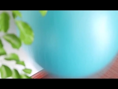 Pvc explosieveilige fitness 45 cm yogabal met luchtpomp Oefenbal Oefenapparatuur Yogabal